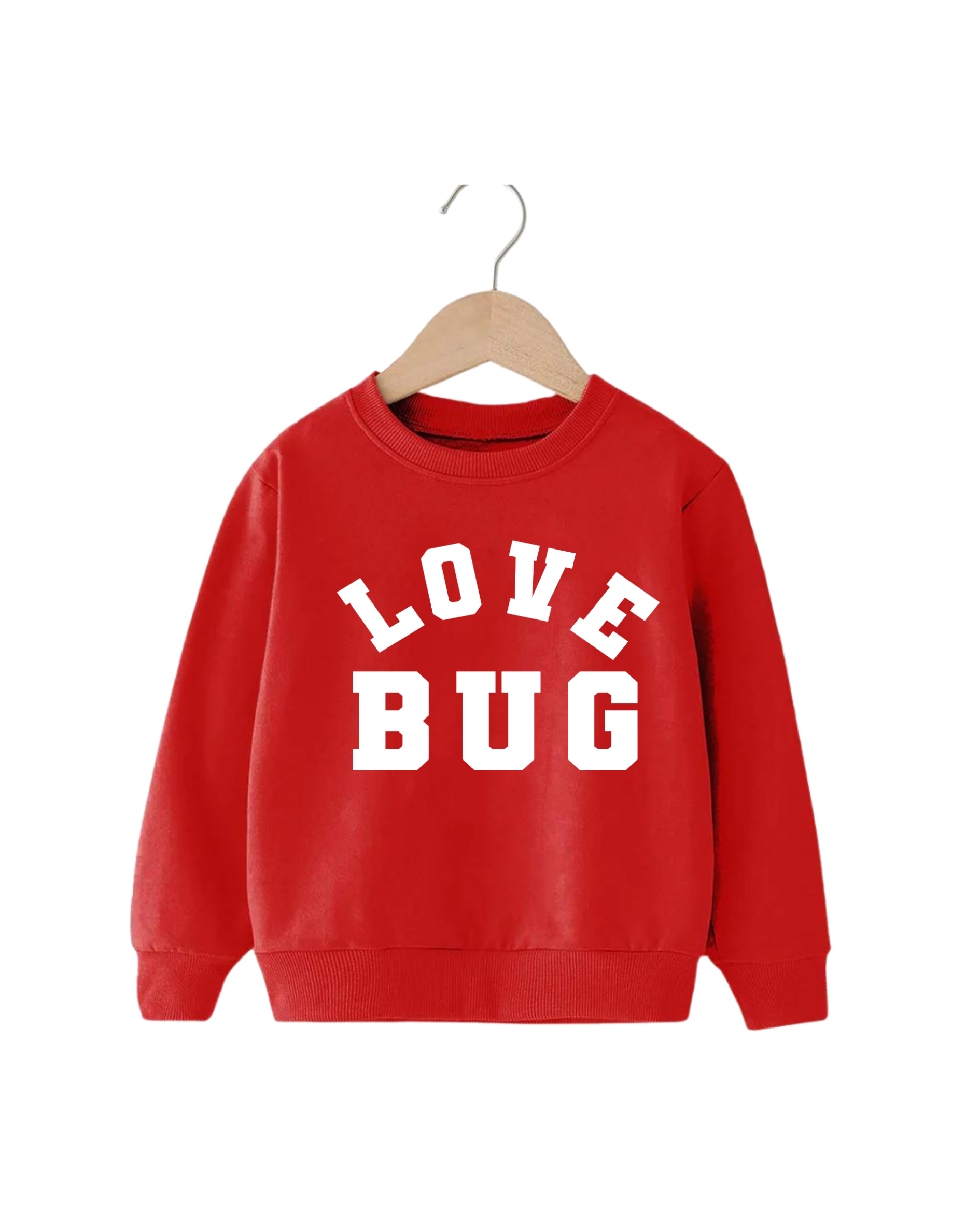 SBG Co. - Wholesale Sweatshirt - Kids - Love Bug Pullover3