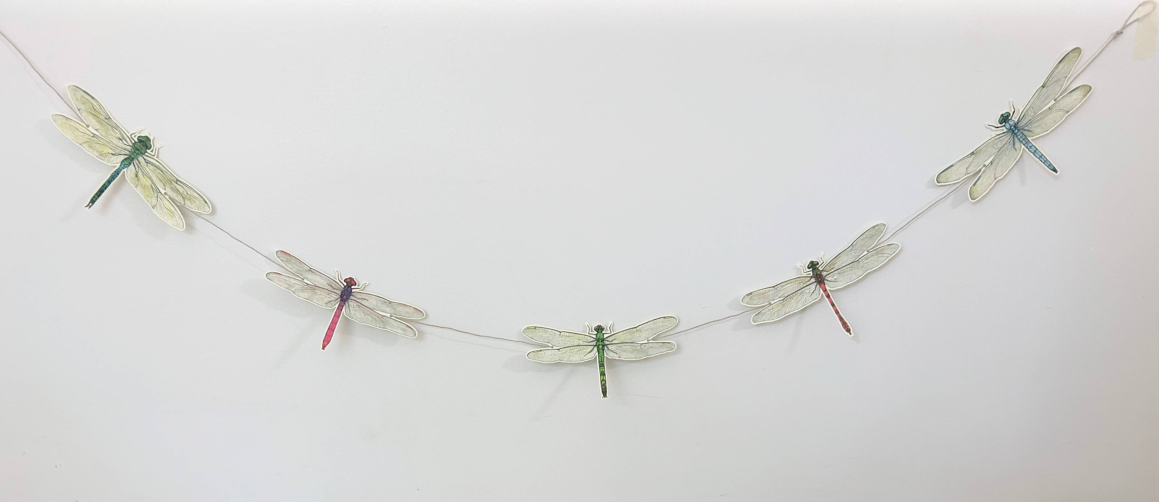 Sarah Draws Things - Wholesale Bunting/Garland - Dragonfly Illustrated Garland 7