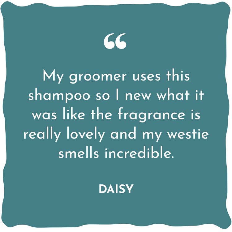 WildWash - Vente Shampoing – chien - Shampooing anti-perte Fragrance n°2 pour chiens 300 ml4