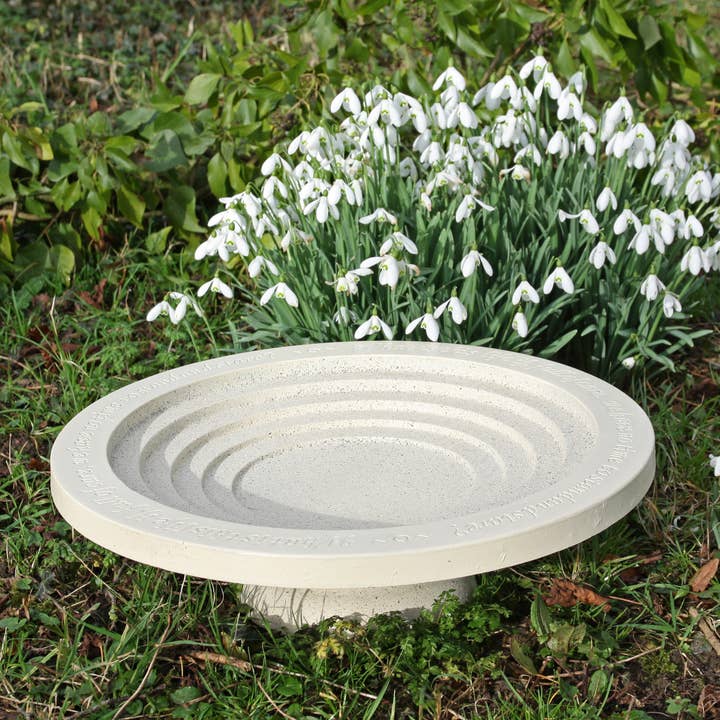 Wildlife World Ltd - Wholesale Bird Bath - Shenstone Bird Bath