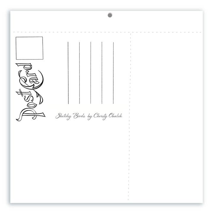 Christy Obalek Illustration - Wholesale Calendar - 2026 Wall Calendar Funny Painted Birds Tear-off Postcard7