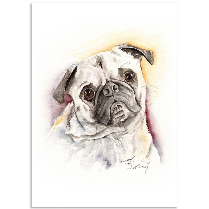 Franklin para venta al por mayor de Moonlight & Grace