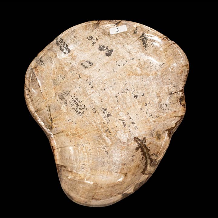 Petrified Wood Plate Small for wholesale by Quasar Gems USA