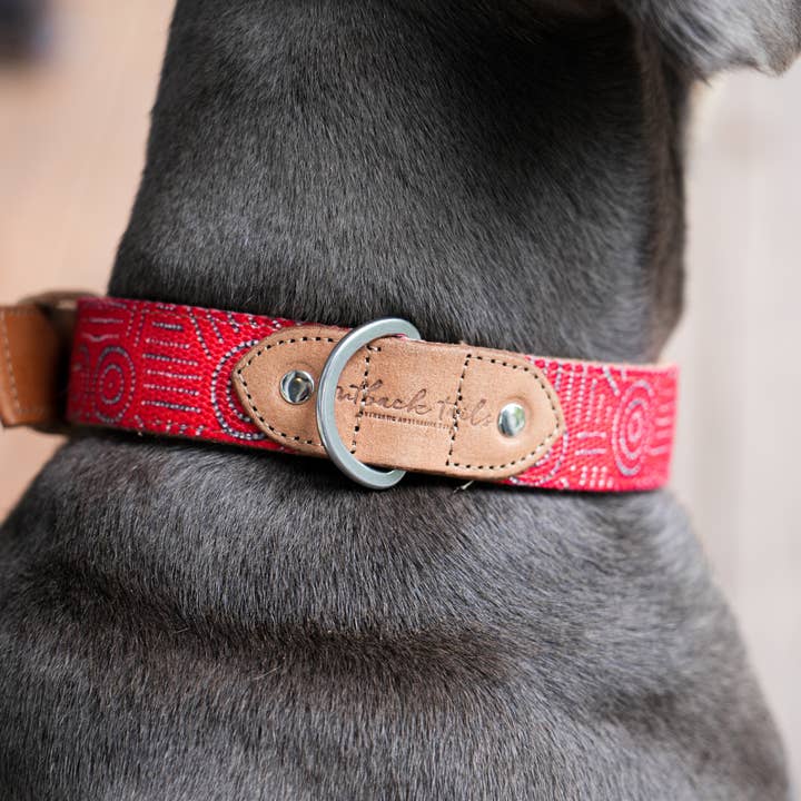 Outback Tails - Wholesale Pet collar – Dog - Leather Dog Collar - Water Dreaming