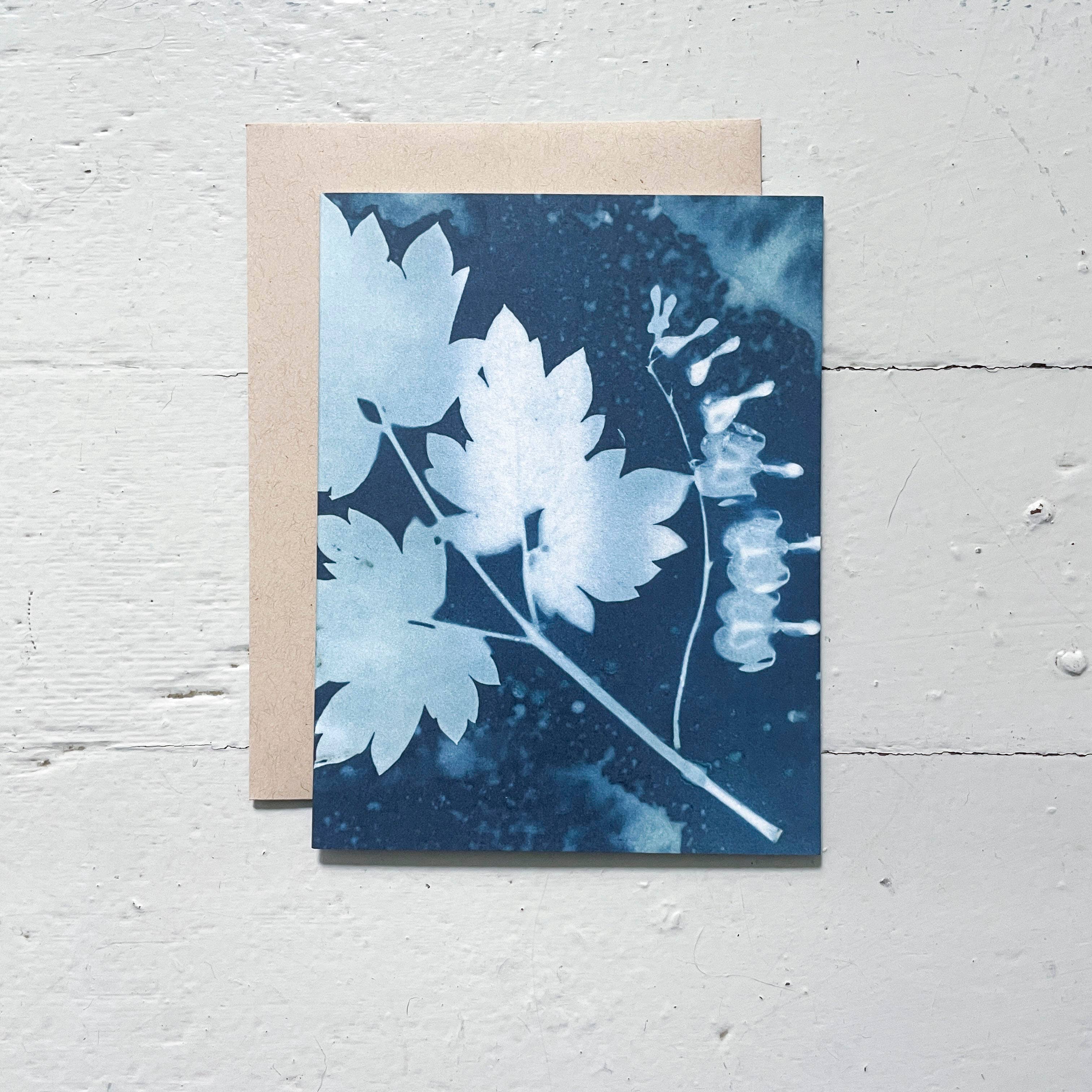 Atwater Designs - Vente Carte de vœux classique - Coffret de cartes de vœux Slow Mornings | Botanical Cyanotype8