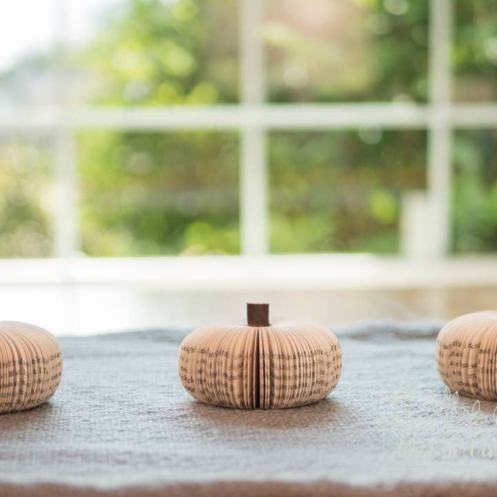 Root To Vine – Großhandel Tischdeko – Herbstdeko Buch Kürbis Cutie – Halloween Deko für Buchliebhaber4