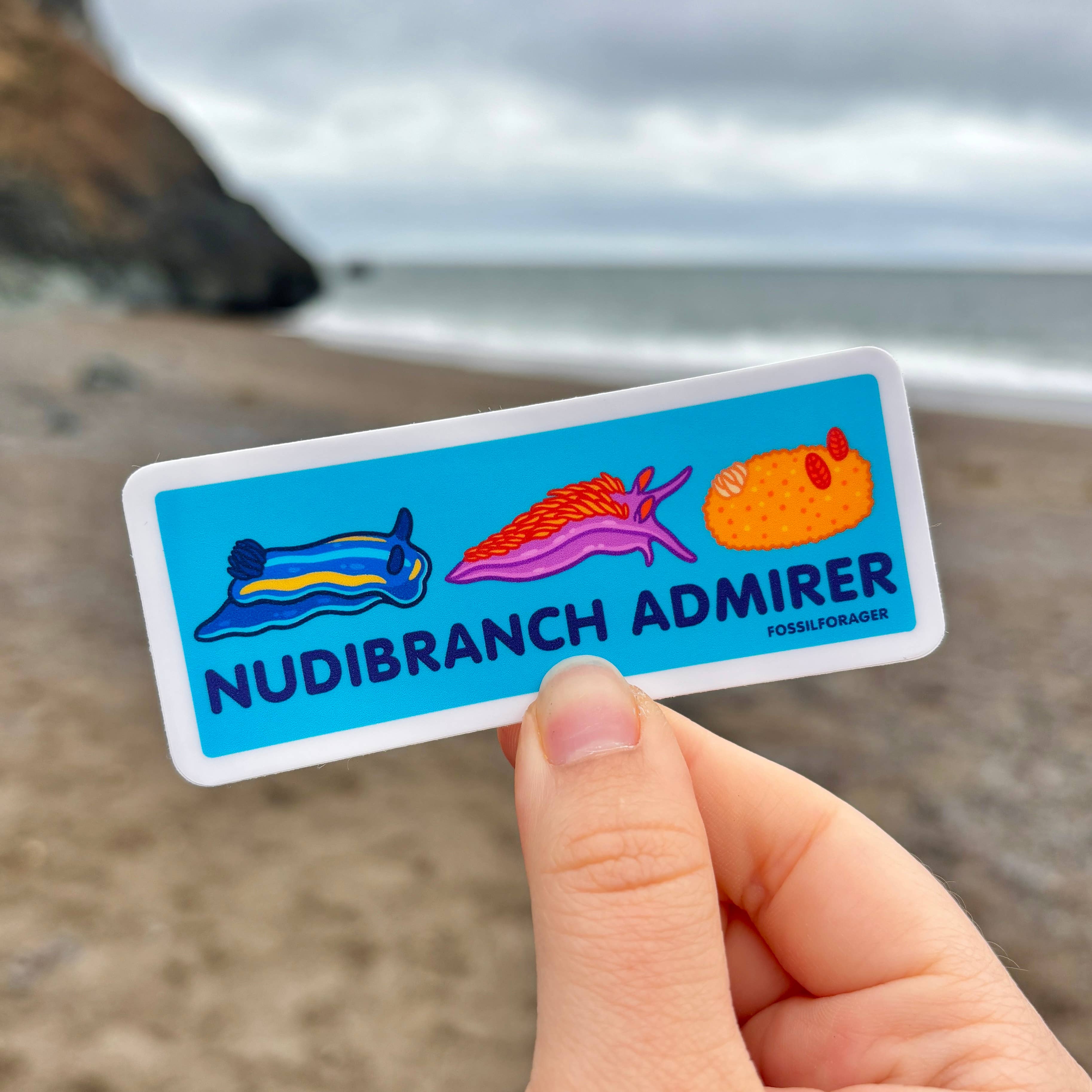 Fossil Forager - Wholesale Sticker - Nudibranch Admirer Sticker0