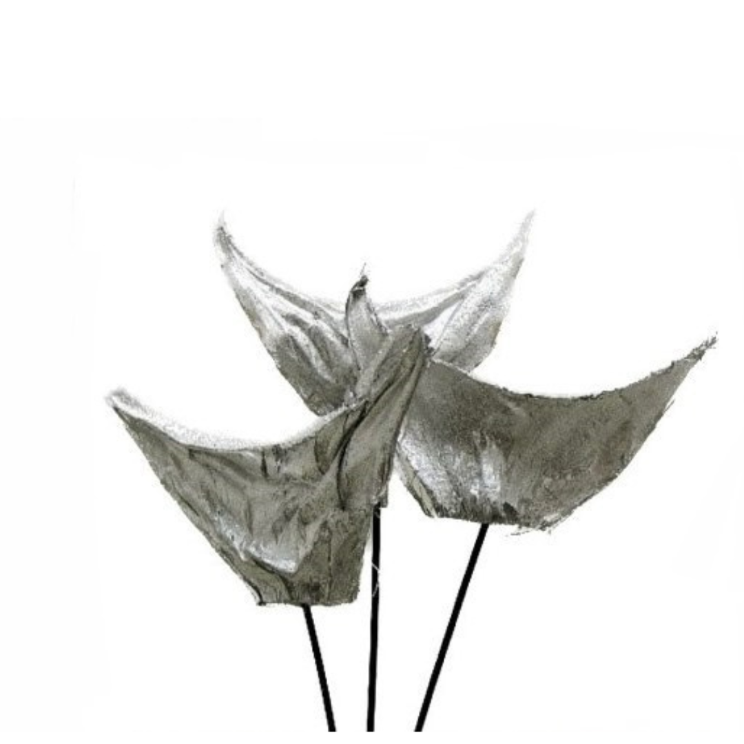 Botanico Ltd. - Wholesale Dried/Pressed Flowers - Agave 2