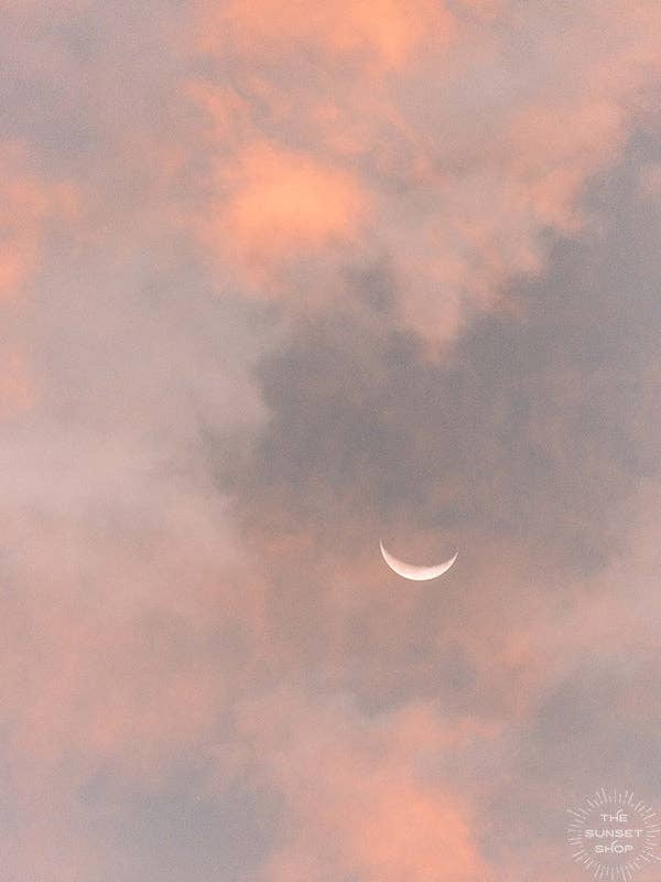 À la Lune et au Retour pour la vente par The Sunset Shop