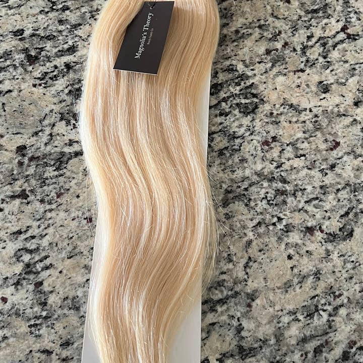 Magnolia's Theory - Wholesale Hair Extensions - Clip-in Extensions (Black/Blonde)
