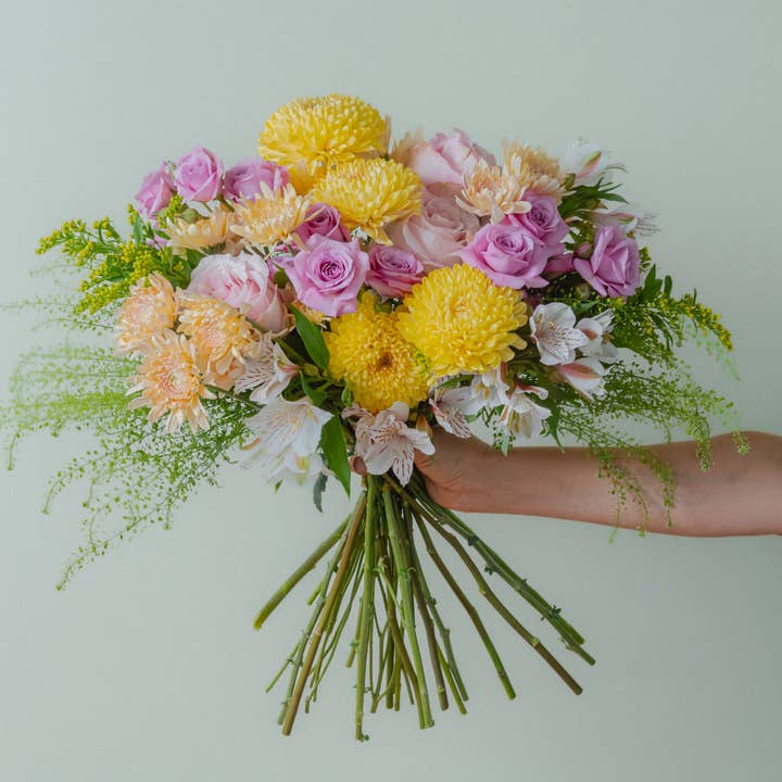 LEMONBERRY for wholesale by FINCAS