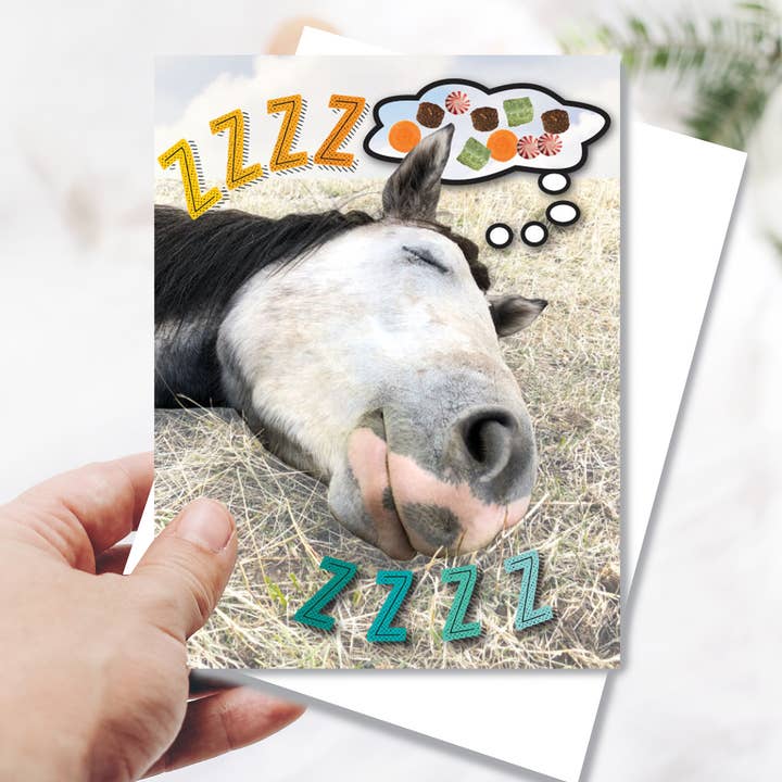Horse Greeting Birthday Card / ZZZZzzzzzzz!!! / Funny Cute for wholesale by Horse Hollow Press