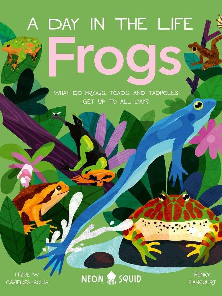 Frogs Daily Life Of Frogs, Toads, And Tadpoles for wholesale by Macmillan Publishers