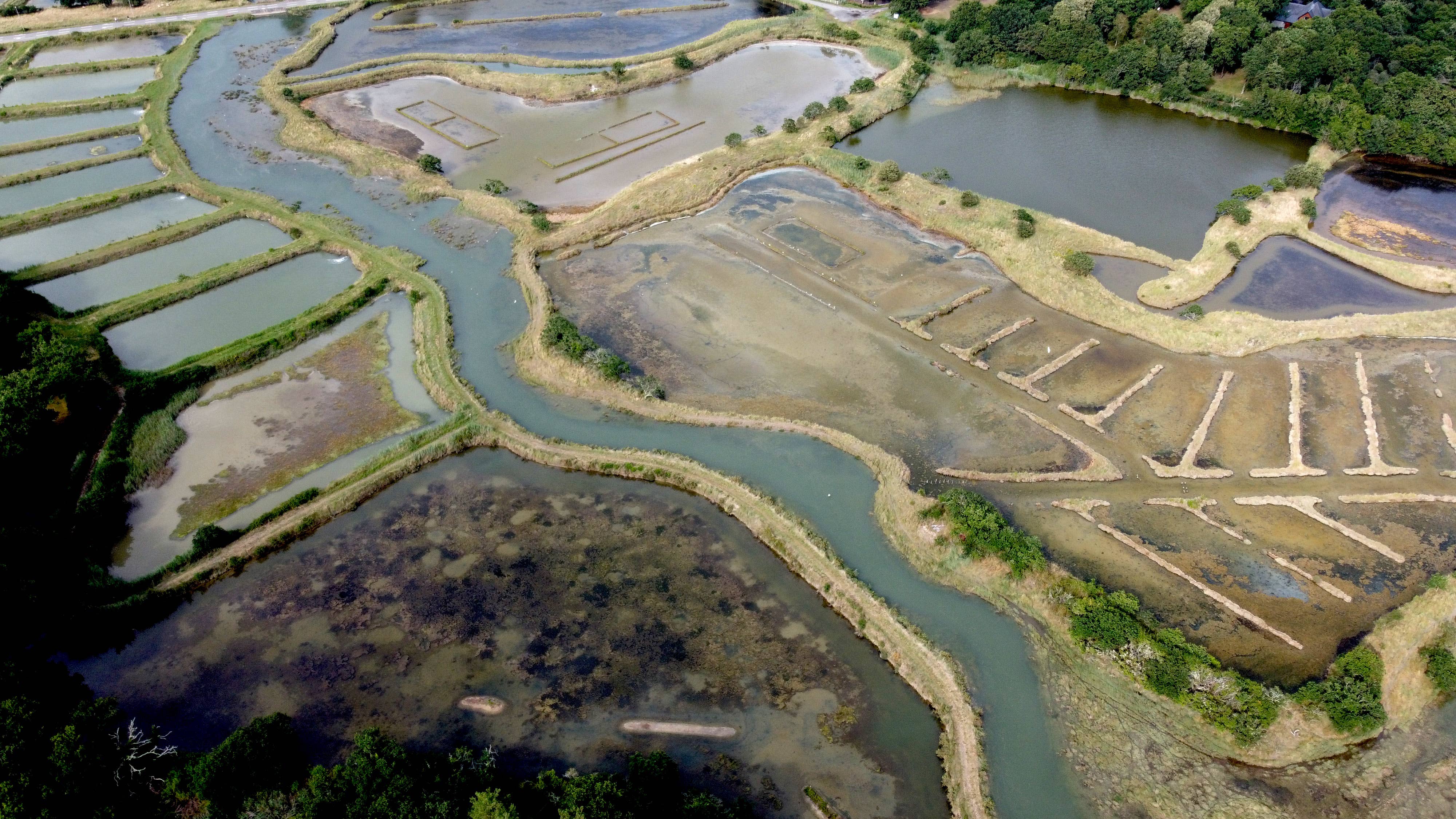 Artisans du sel – wholesale Salt – Guérande-salt i tryckt återanvändbar bomullspåse 500 g6