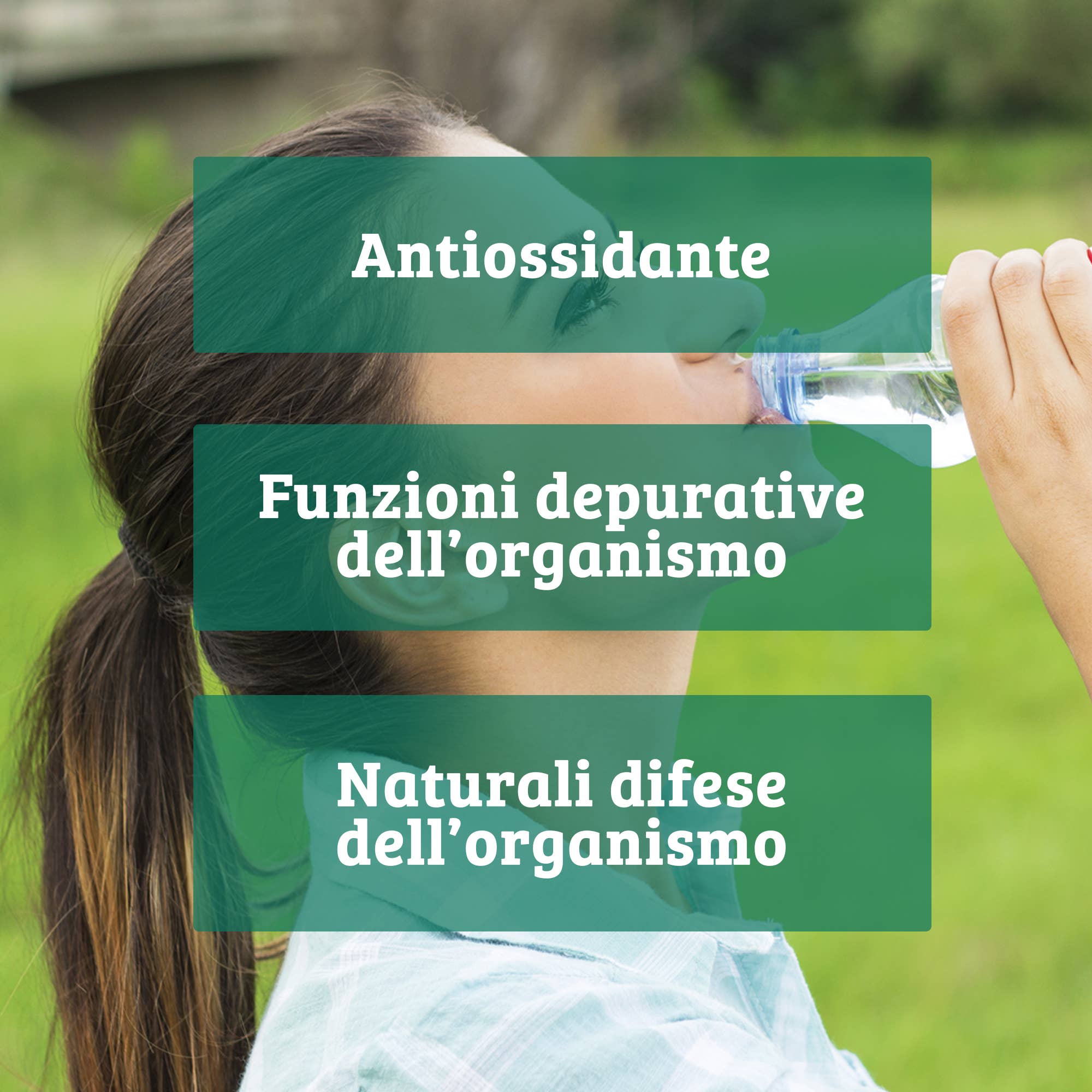 OPTIMA NATURALS - Wholesale Oral Supplement/Vitamin - Bio Chlorella, 200 tablets, 500mg3