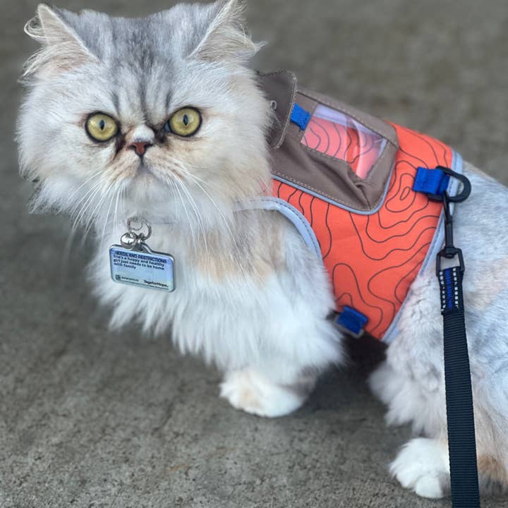Travel Cat Wholesale - Vente Harnais – chat - Harnais pour chat « The Pathfinder » avec poche pour traceur GPS - Power3