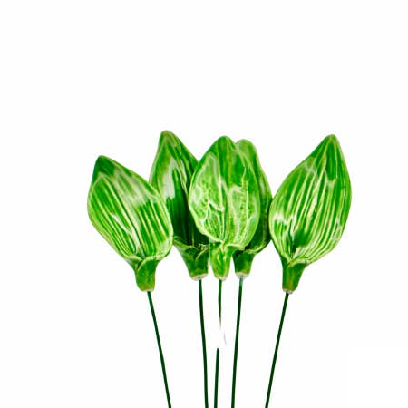 Feuille de tulipe pour la vente par Golden Pigs