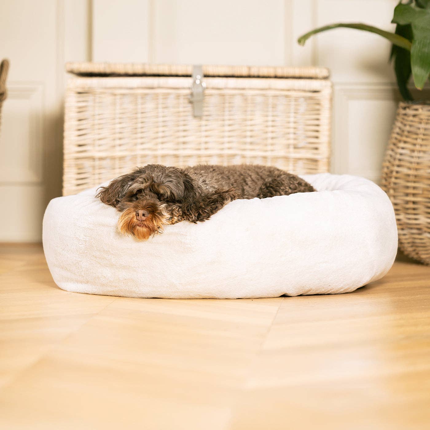 Calming Anti-Anxiety Donut Bed With Removable Covers in Cream Faux Fur by Lords & Labradors for wholesale on Faire2