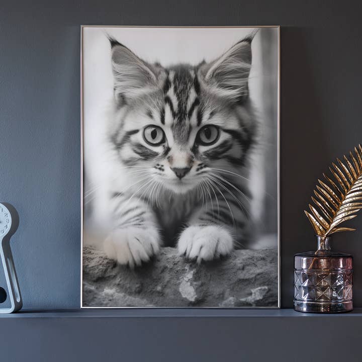 paperwhite Baby Cat Poster - Vintage Black White Photo for wholesale on Faire