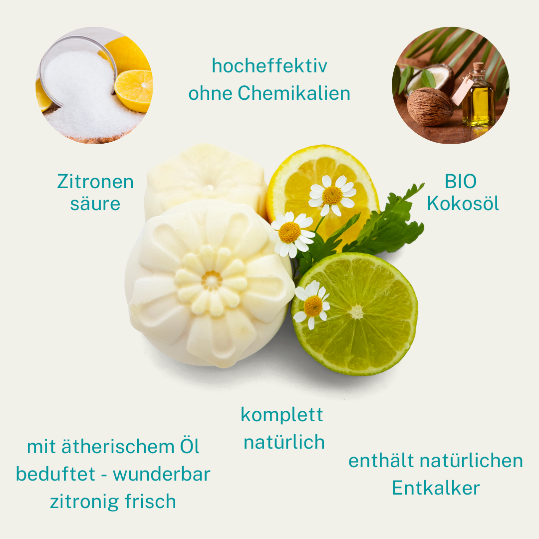 Kleine Auszeit Manufaktur – Großhandel Feste Seife – PUTZ UND WASCHSEIFE3