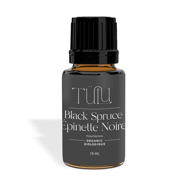 Épinette noire (Picea mariana) pour la vente par Tülu Wellness