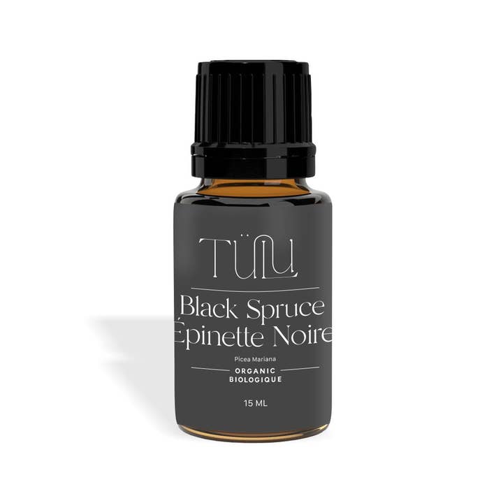 Black Spruce (Picea mariana) for wholesale by Tülu Wellness