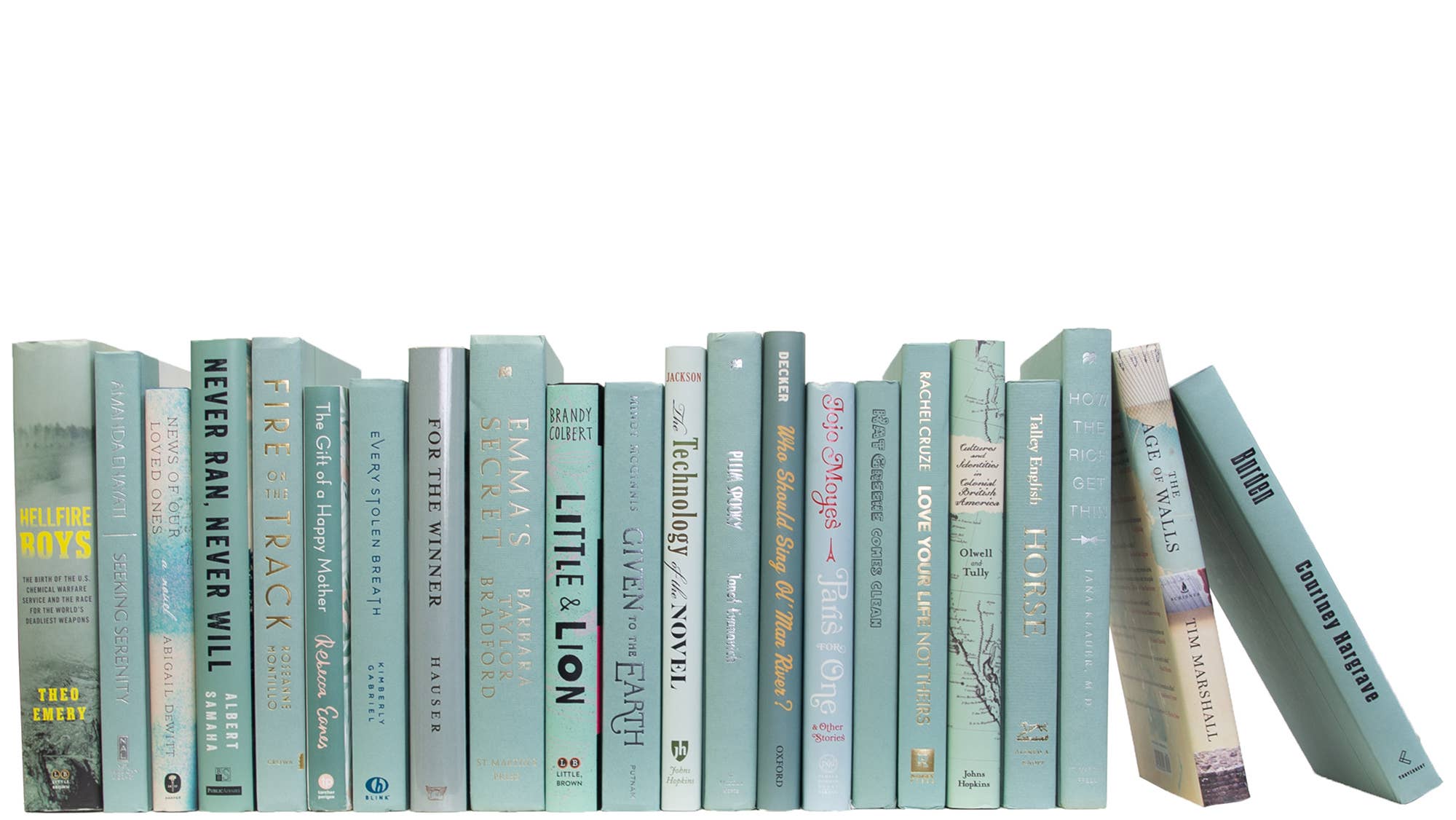 Decorative Blue Books By The Foot - Aquamarine Mixed Media for wholesale on Faire0