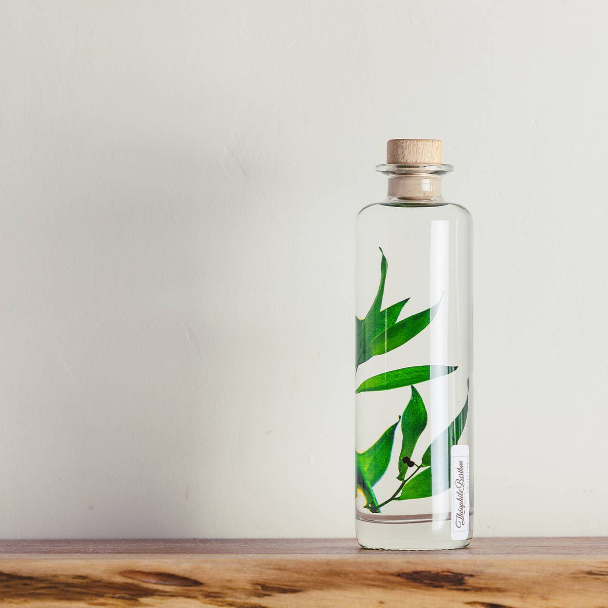 Theophile Berthon - Vente Plante - L'Herbarium Ruscus vert - plante immergée1