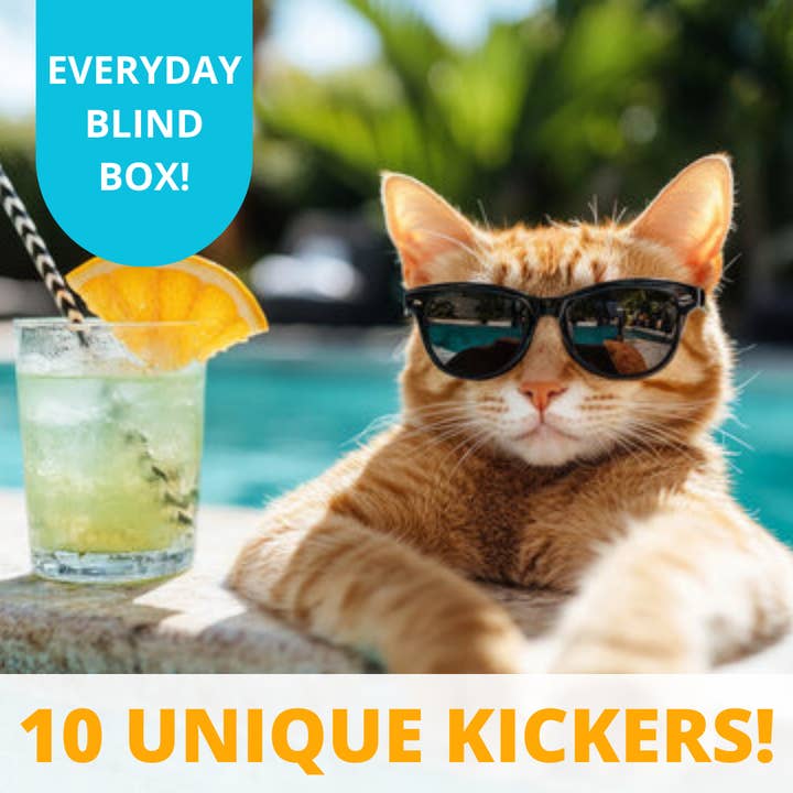 PLACEHOLDER 2 Scatola a Sorpresa Quotidiana - Giochi con Erba Gatta per Gatti Kitty Kickers per la vendita all'ingrosso da parte di The Spicy Purrito