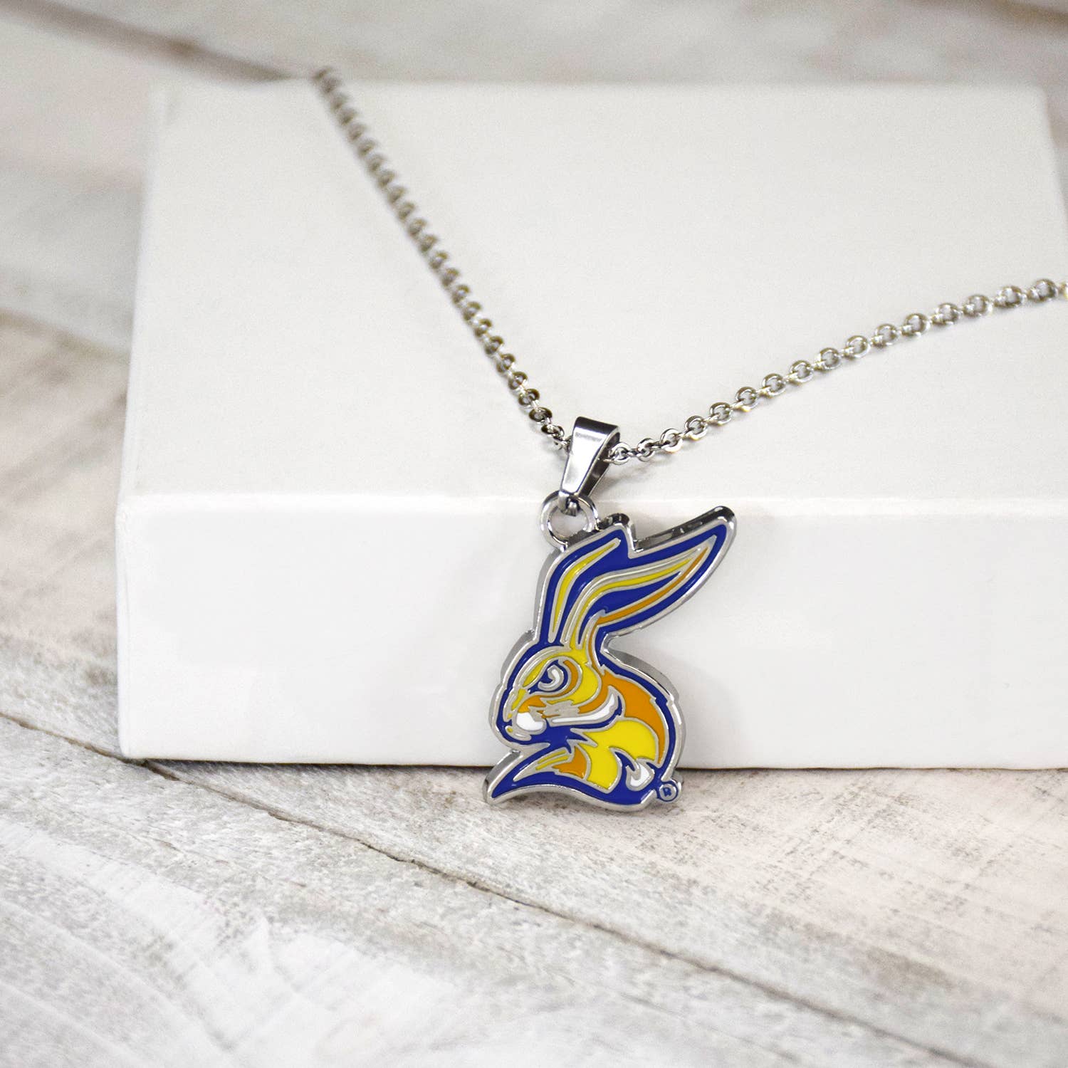 Fan Frenzy Gifts - Wholesale Pendant/Charm Necklace - Fan Frenzy Gifts South Dakota State Silver Fan Necklace3