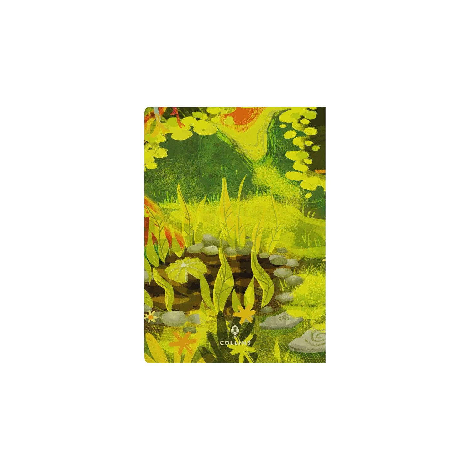 Collins Debden - Wholesale Planner - Bella Ramsay Cat - A5 Week-to-View Mid/Academic Year Diary Planner 2025-202614