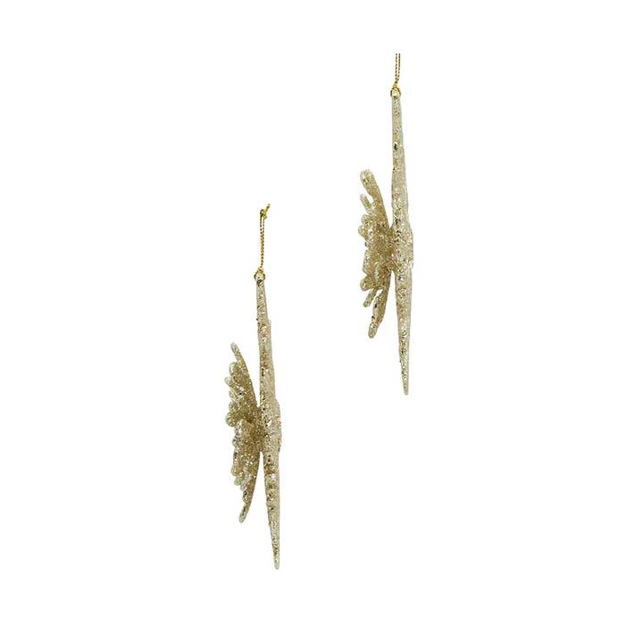 Kurt S. Adler, Inc. - Wholesale Ornament Set - 5.5"PLASTIC PLAT SNOWFLAKE ORNAMENT 2/A3