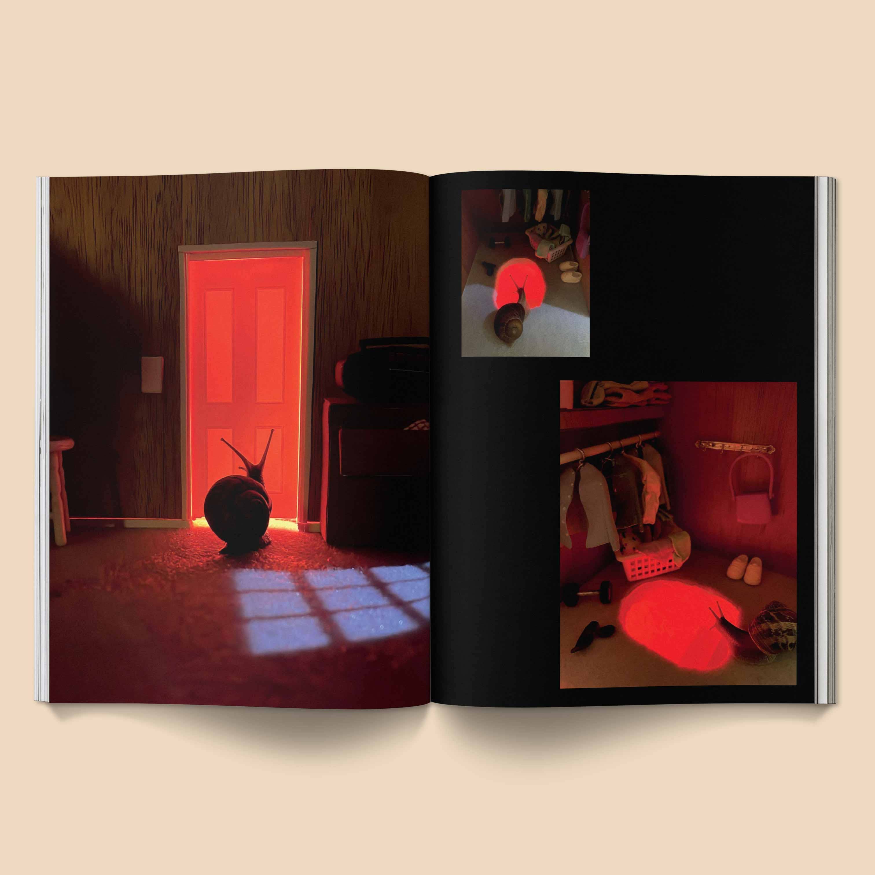 Broccoli - Wholesale Fantasy - Snail World 2: Welcome to Slimetown Coffee Table Book6