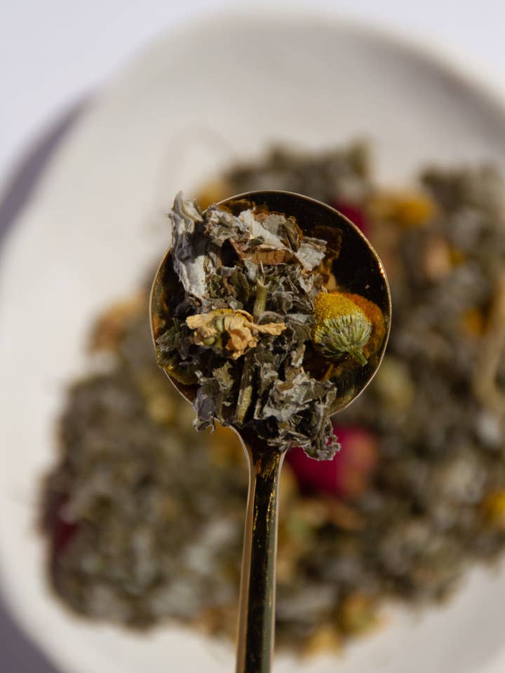 Red Raspberry Leaf Tea Sample for wholesale by Nurtur Tea