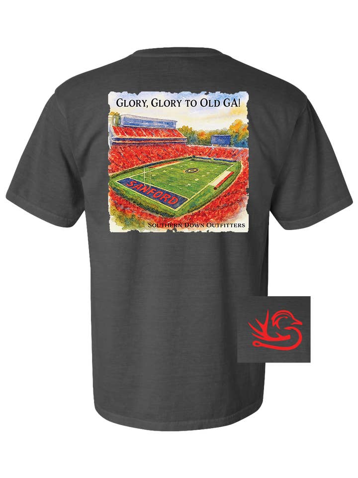 Glory Glory to Old GA! Youth Tee for wholesale by Southern Down Outfitters