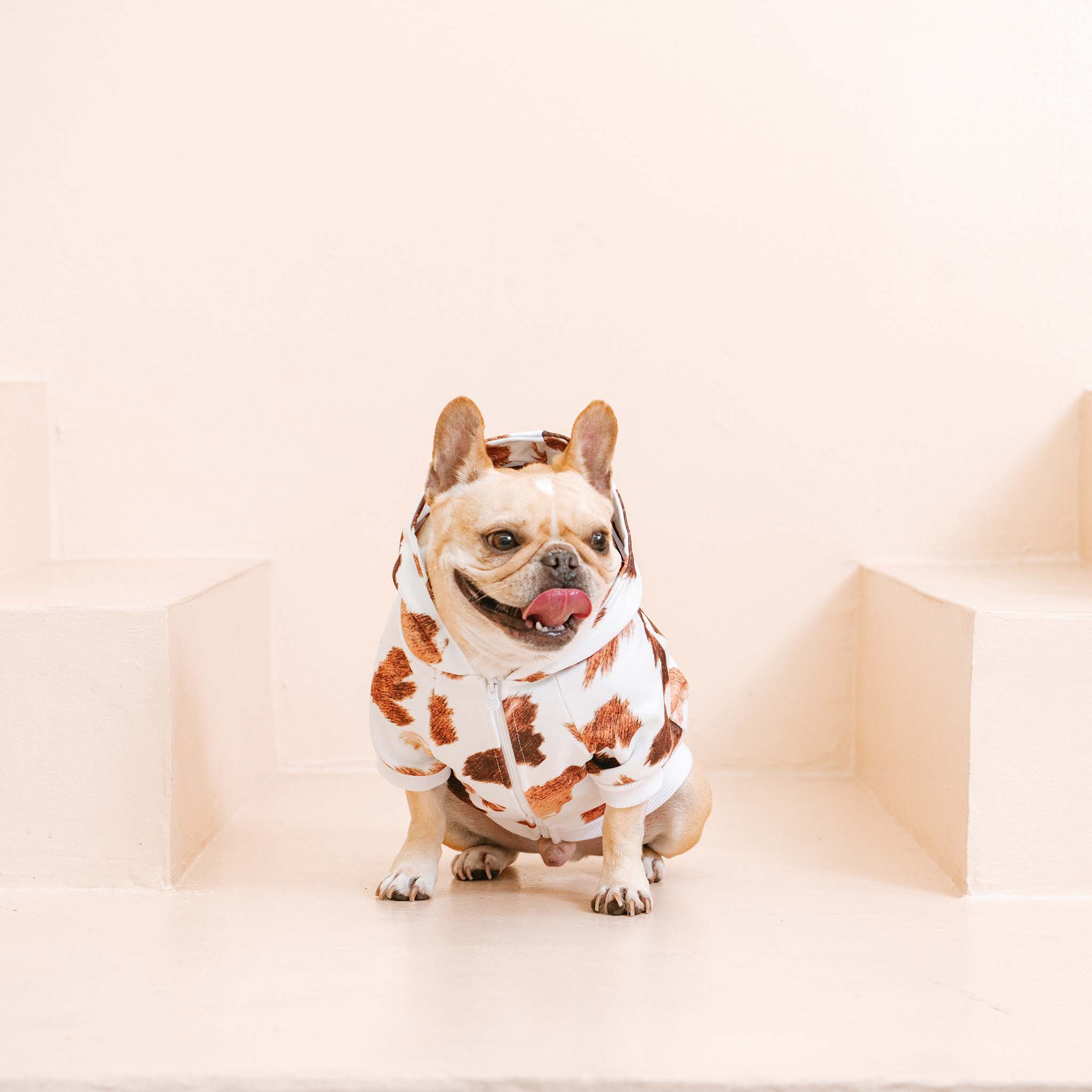 Frenchie - Wholesale Hondenhoodie - Hond - Frenchie Hondenhoodie - Moo5