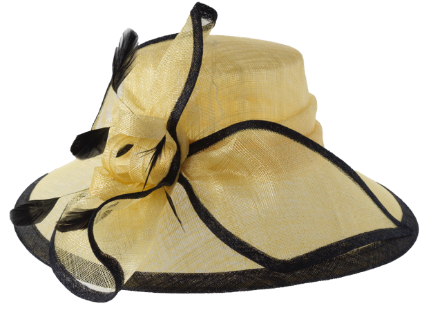 Toucan Hat Company/ Carole Amper – Engroshandel Fascinatorhat - Dame – Sinamay-hat i to toner4