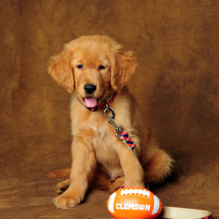 Paw Paws USA - Wholesale Pet Collar - Dog - Collegiate - Clemson05 Dog Collar Tiger Rep Stripe1