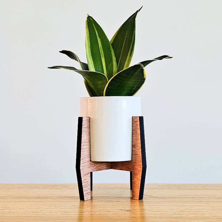 Mini Indoor Plant Stand with Pot - Angled Sides for wholesale by Leaf & Node