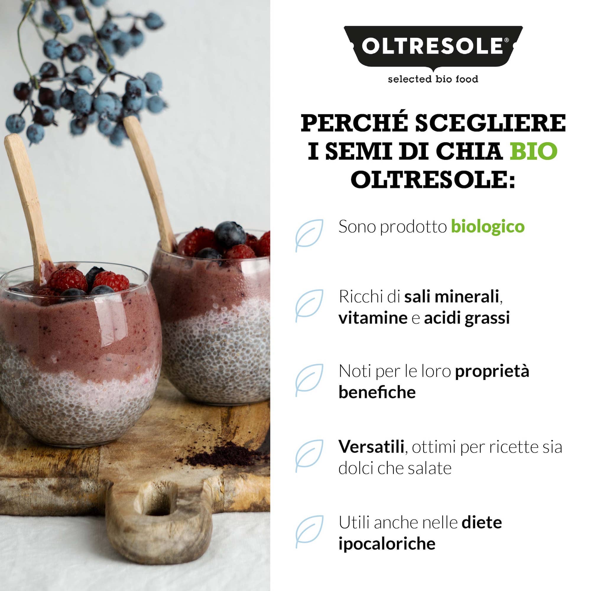 Oltresole – wholesale Frö/Kärnor – EKOLOGISKA CHIAFRÖN 3 kg5