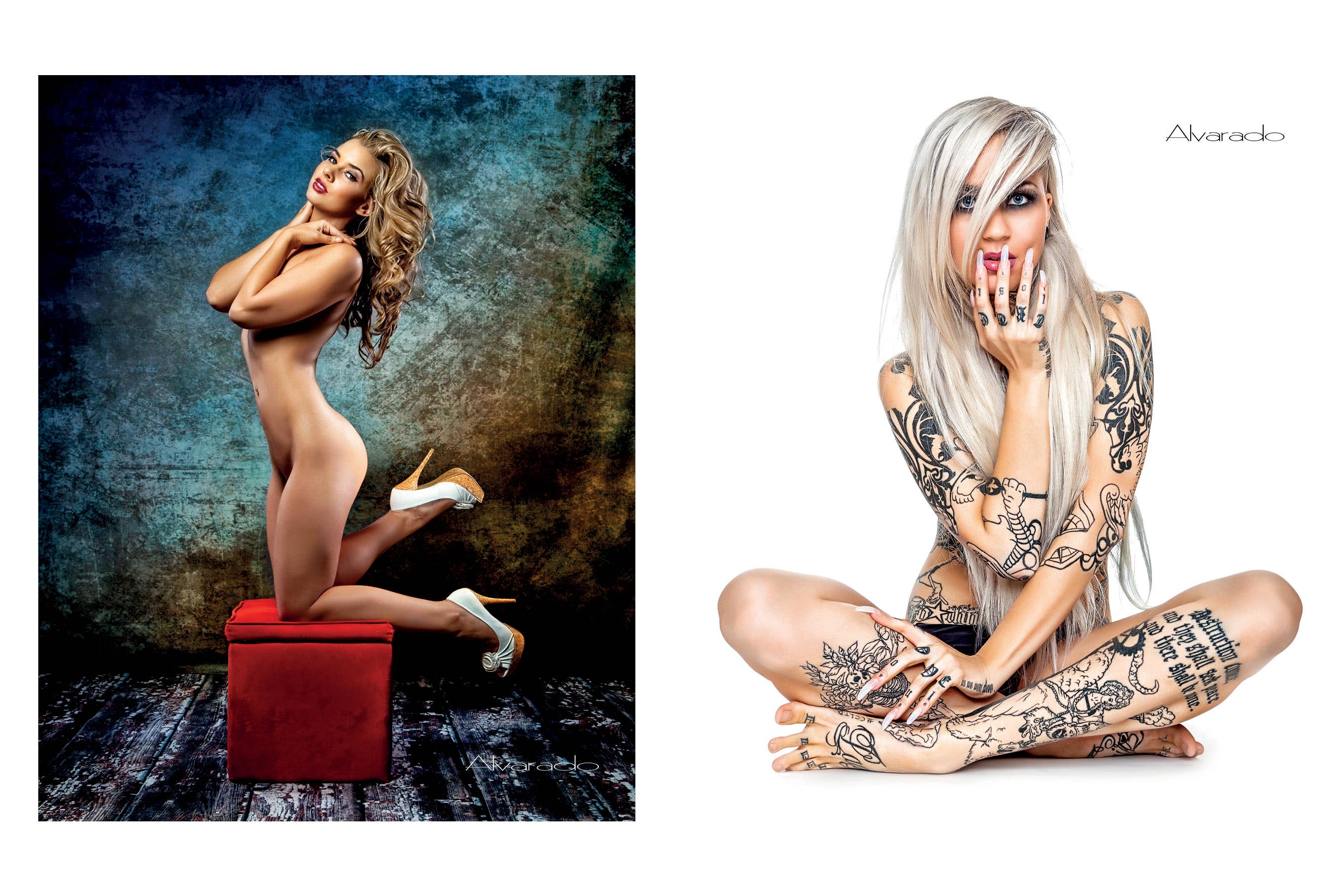 Schiffer Publishing - Venta al por mayor Display Book - Desnudos pin-up de Alvarado, 2ª edición4