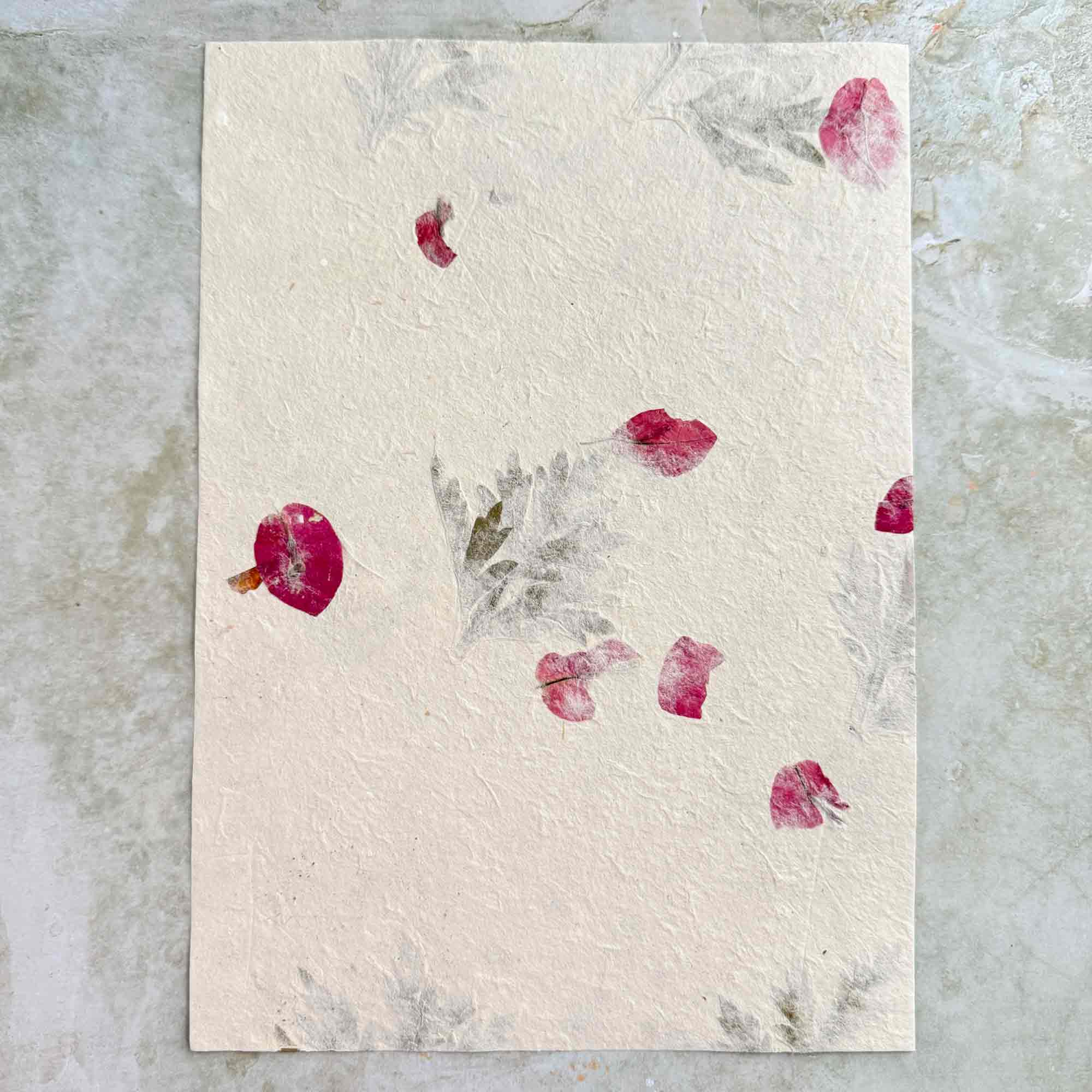 The Natural Paper Company – Conjunto de notas por atacado – Papel e Envelopes Artesanais de Lokta do Nepal - Artemísia & Buganvília2