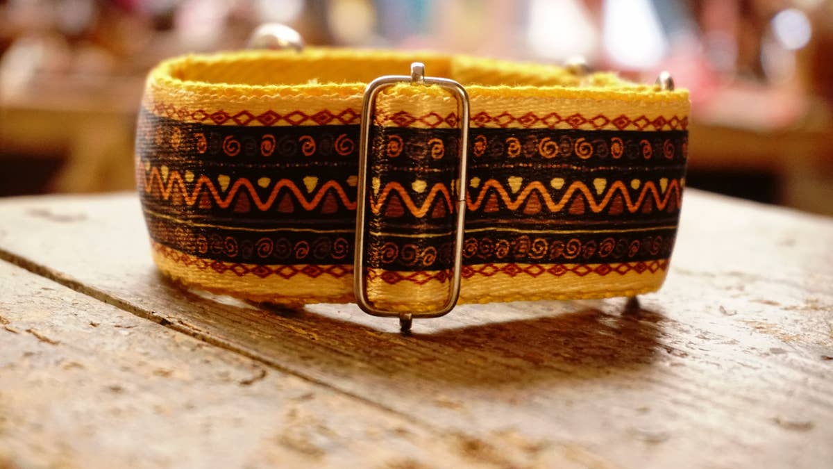 hundsfutter - Vente Collier – chien - Collier large jaune pour chiens8