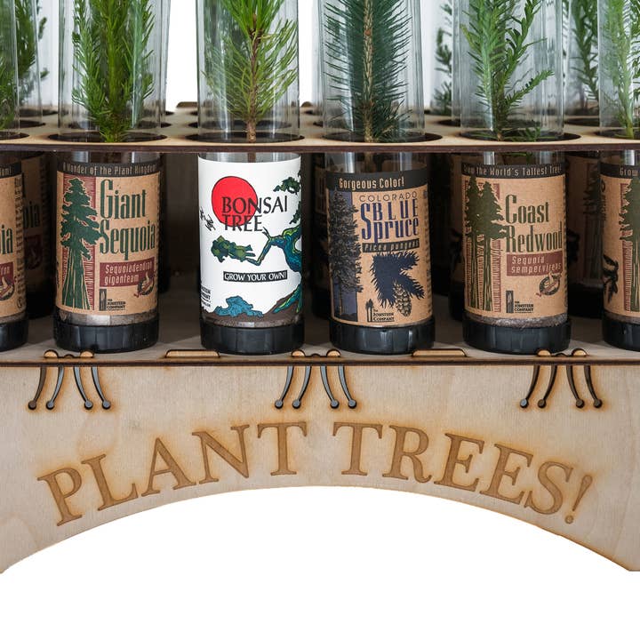 The Jonsteen Company - Wholesale Live Plant - Plant Trees Collection | 18 Live Trees w/ Display