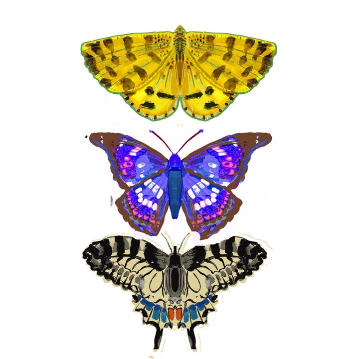 wini-tapp - Wholesale Bunting/Garland - Colourful Butterfly Garland5