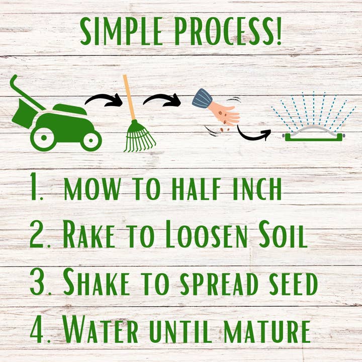 Flawn Seed Kits - Wholesale Plant Seeds - Dutch White Clover Seed13