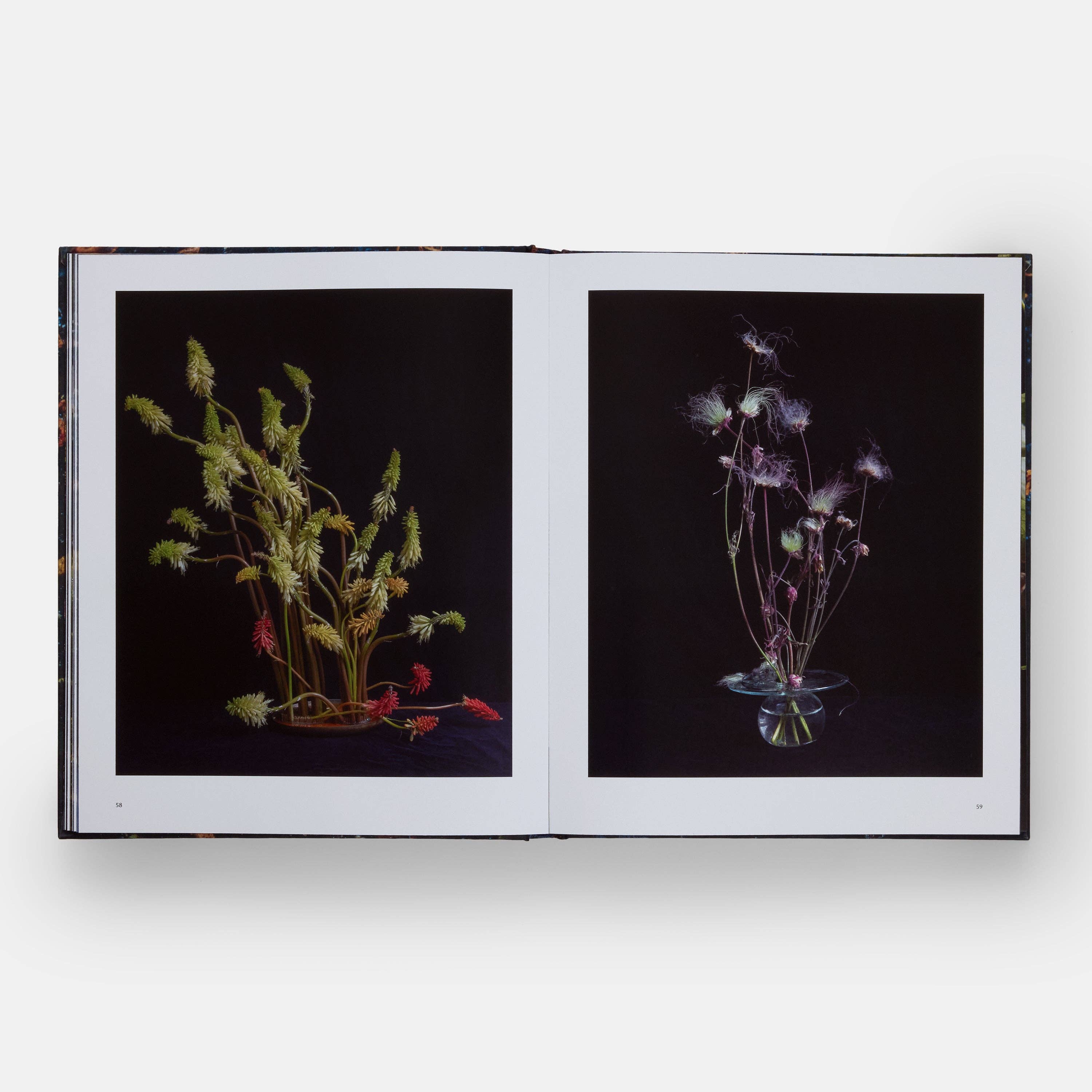 Phaidon Press – wholesale Book – Adult – Emily Thompson Flowers3