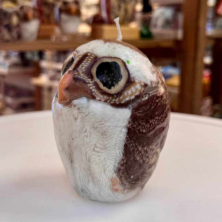 Bougie Morning Glory Owl en cire pure sculptée à la main pour la vente par Alans Candle