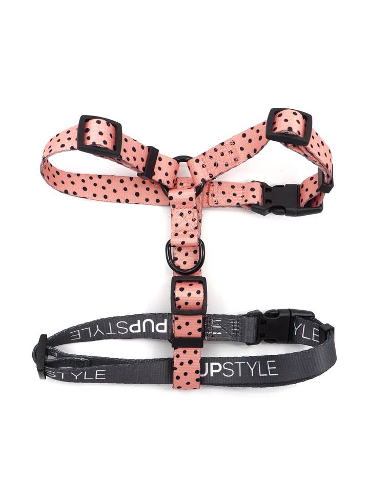Morocco Adventure Strap Harness for wholesale by PUPSTYLE