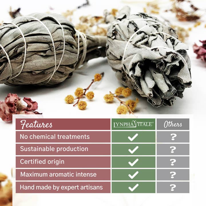 Herborea srl - Wholesale Sage Bundle - White Sage Smudge - 2 pcs6